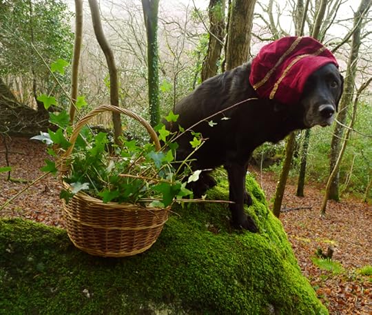 Holly, ivy, and the black beast of Dartmoor