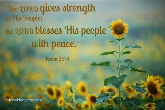 12 Bible Verses to Live By in 2018 www.monahodgson.com