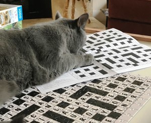 deliberate grace, forgiveness, patience, love, joy, gentleness, Fruit of the Spirit, Jesus, God's love, extending grace, overlooking discomfort, sin