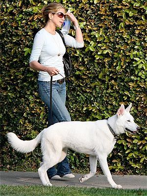 woman and her white german shepherd