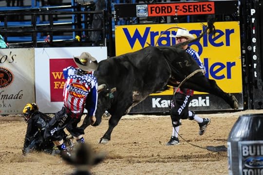 bullrider