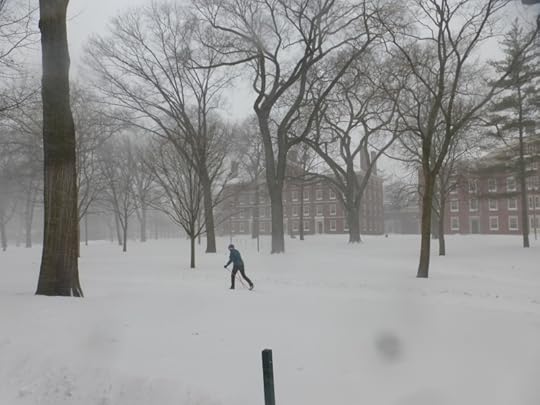 snow