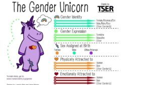 “Giving Offense, or How to Overcome Mass-Media Morality”