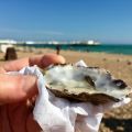 Today���s oyster.