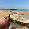 Today���s oyster.