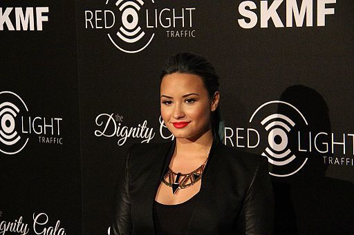 Redlight Traffics Inaugural Dignity Gala (10358970676)