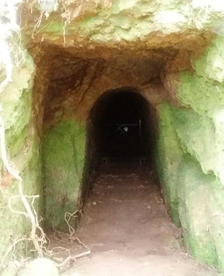 A disused mine near Okupu