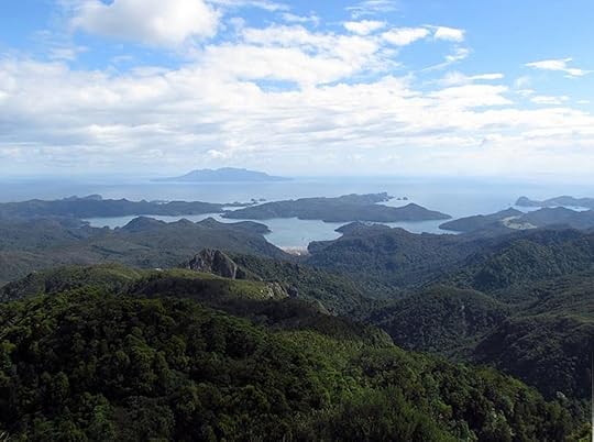 View of Port Fitzroy from near Mt Heale Hut