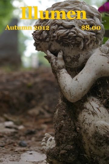 Illumen Sample Cover