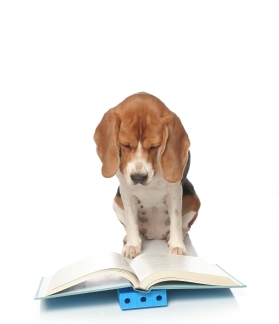 Reading Challenge
