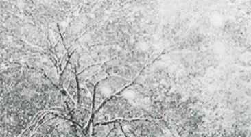 china snow GIF