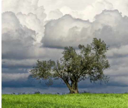 no storm no strength