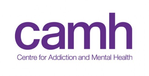 Image result for camh