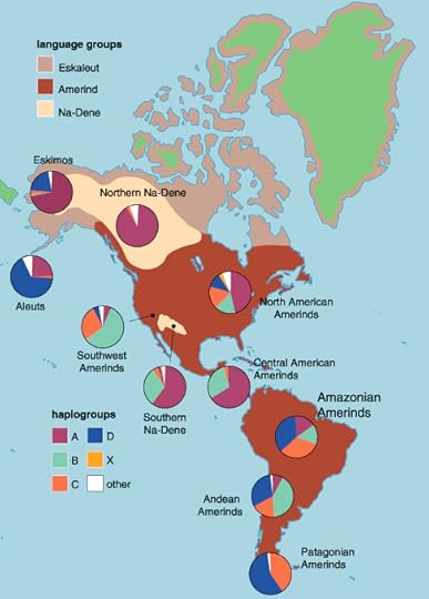 amerind_haplotypes