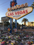 Lasvegassignflowers