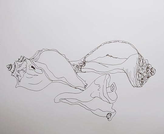 IMG_20180103_150605-01