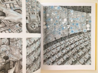 Image result for daishu ma leaf