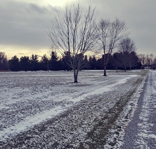 Last month, as I took the last of my few things stored a my childhood home, I looked back to find the most appropriate view: the house swallowed up in trees we'd planted.