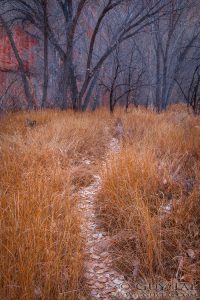 Canyon Path