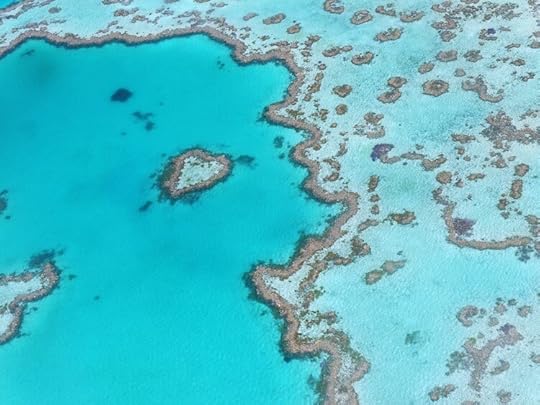 1 Great Barrier Reef, 10 Awesome Things to do in Australia, Survive Travel