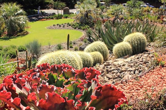 10 Melbourne Royal Botanical Garden, 10 Awesome Things to do in Australia, Survive Travel