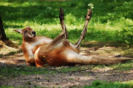 3, Kangaroo, 10 Must-Try Australian Foods, Survive Travel