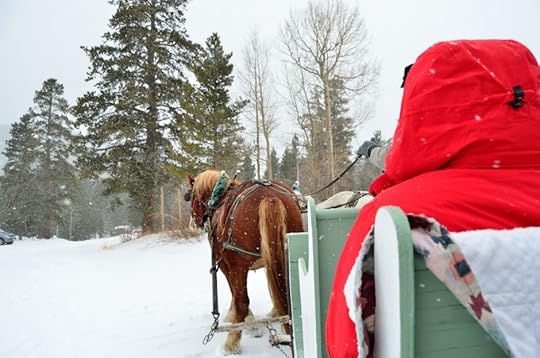 Colorado sleigh winter horse snow