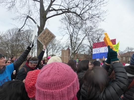 Cambridge Common, 20 January 2018