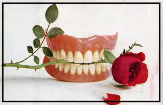 The Shiny Narrow Grin