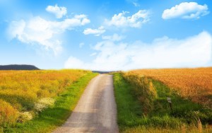 The way of the warrior