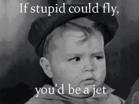 Image result for stupid