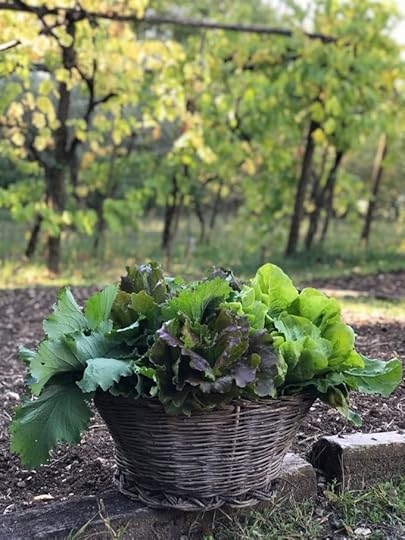 Ravioli Dinner Party