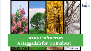 Haggadah-cover