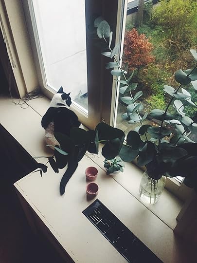 Unknown-4
