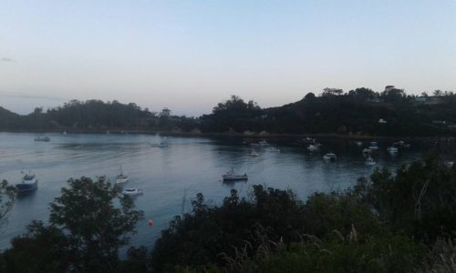 stewart island oban2