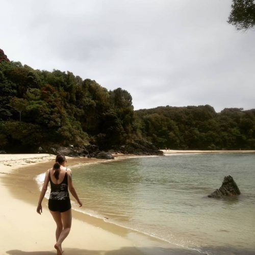 stewart island instagram