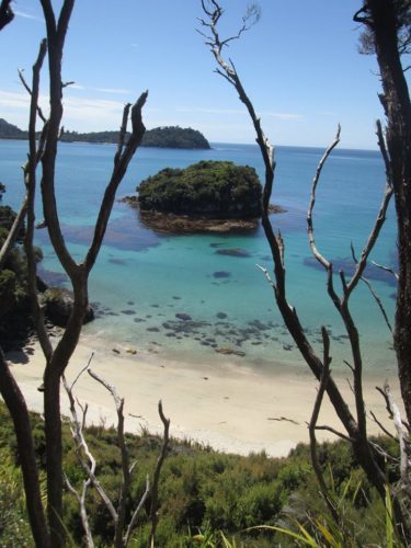 stewart island wow3