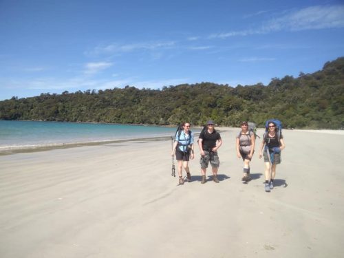 stewart island beach invasion