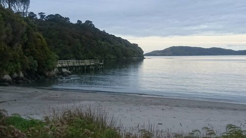 stewart island jetty