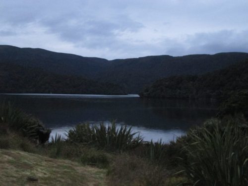 stewart island hut