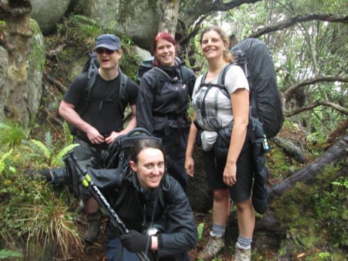 stewart island damp2