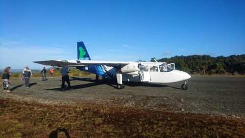 stewart island plane