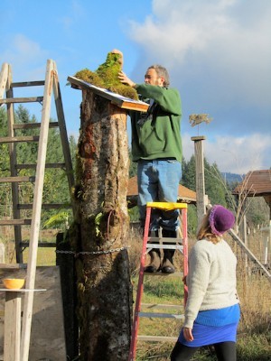 Bee Tree 1
