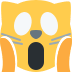 🙀