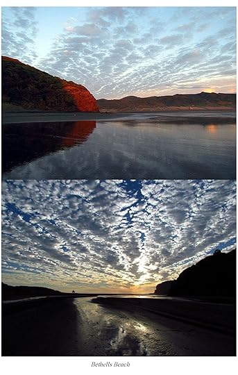 Bethells Beach / Te Henga, west of Auckland. Collage from A Maverick New Zealand Way.