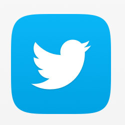 twitter icon