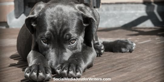 Feeling Introverted? No Problem.