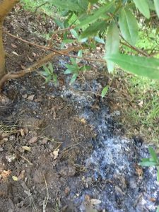 Burn spot in Oakland Hills on 12/27/17