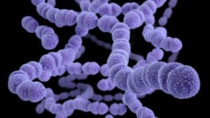 What is pneumonia? 