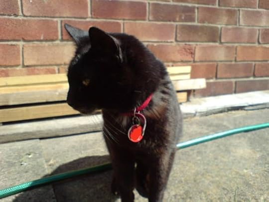  photo DSC00087_zps3e0f9b36.jpg